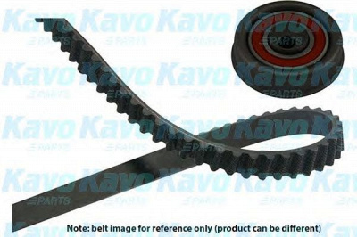 KAVO PARTS dkt5503 -  Комплект ремня ГРМ